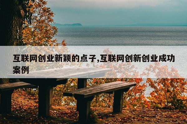 互联网创业新颖的点子,互联网创新创业成功案例