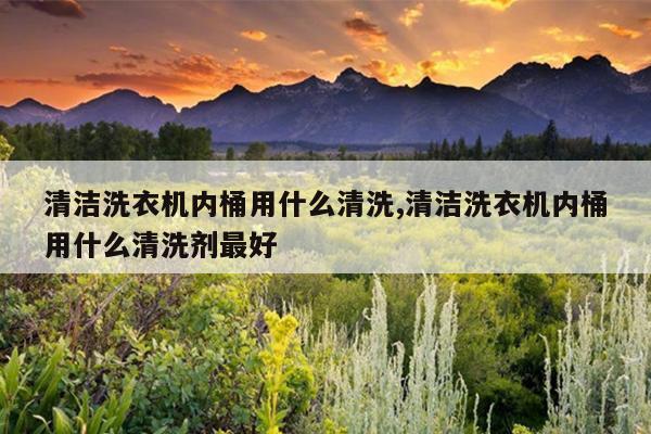 清洁洗衣机内桶用什么清洗,清洁洗衣机内桶用什么清洗剂最好