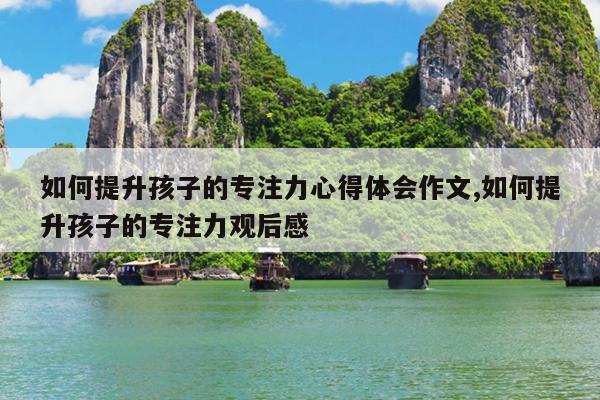 如何提升孩子的专注力心得体会作文,如何提升孩子的专注力观后感