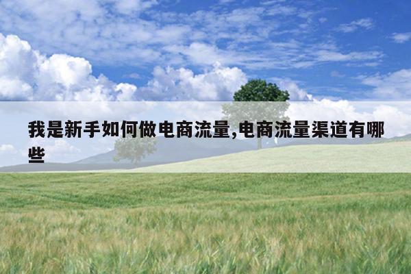 我是新手如何做电商流量,电商流量渠道有哪些