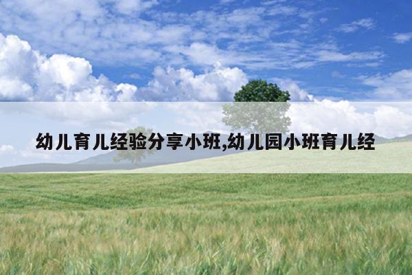 幼儿育儿经验分享小班,幼儿园小班育儿经