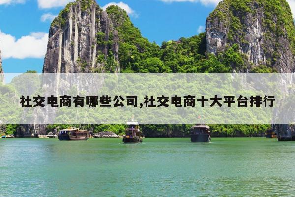 社交电商有哪些公司,社交电商十大平台排行