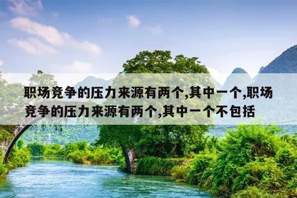 职场竞争的压力来源有两个,其中一个,职场竞争的压力来源有两个,其中一个不包括