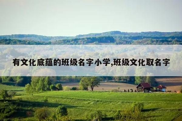 有文化底蕴的班级名字小学,班级文化取名字