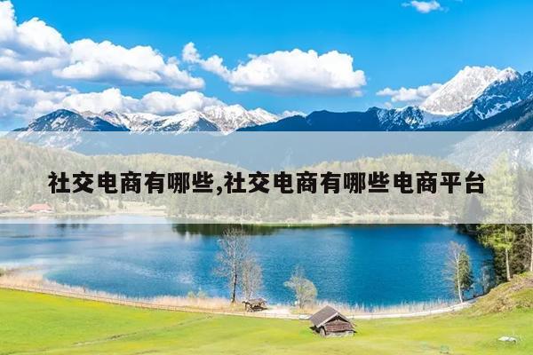 社交电商有哪些,社交电商有哪些电商平台