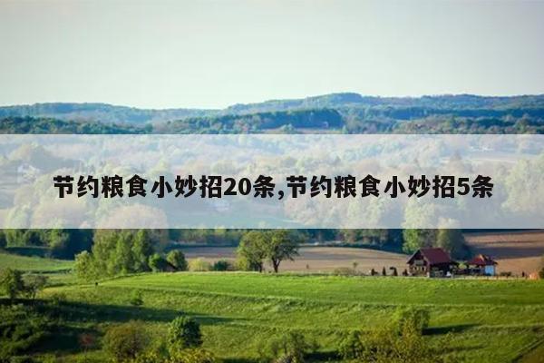 节约粮食小妙招20条,节约粮食小妙招5条