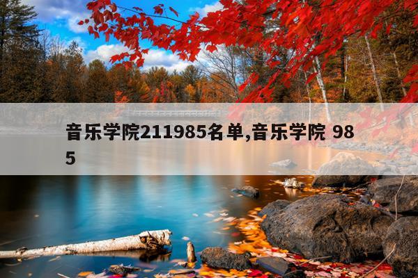 音乐学院211985名单,音乐学院 985