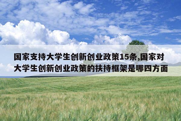 国家支持大学生创新创业政策15条,国家对大学生创新创业政策的扶持框架是哪四方面
