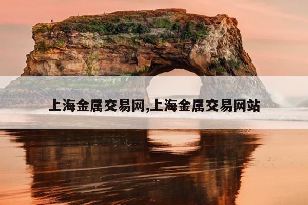 上海金属交易网,上海金属交易网站