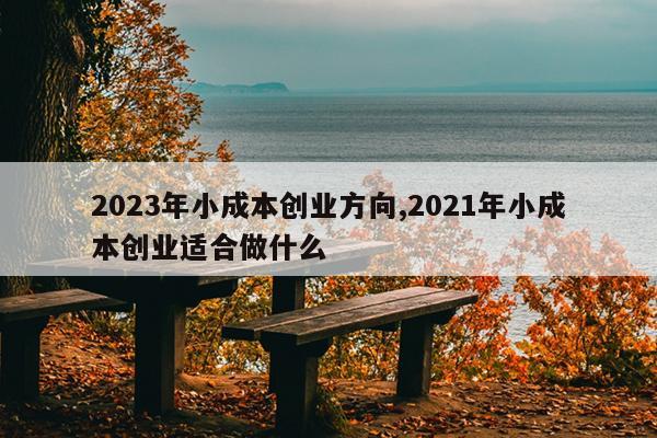 2023年小成本创业方向,2021年小成本创业适合做什么