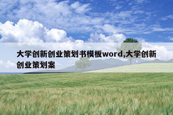 大学创新创业策划书模板word,大学创新创业策划案