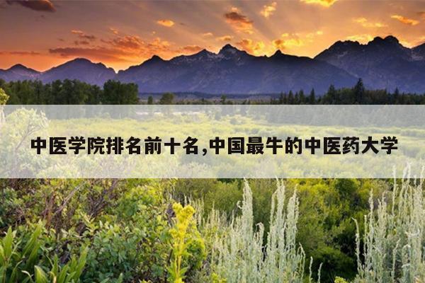 中医学院排名前十名,中国最牛的中医药大学