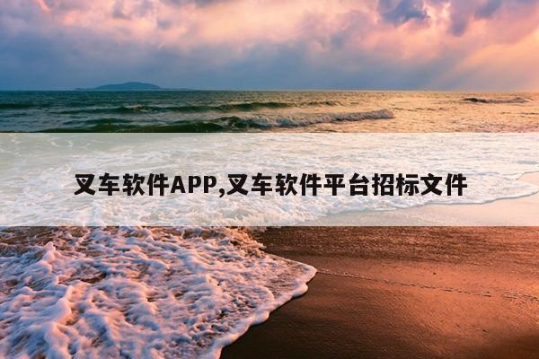 叉车软件APP,叉车软件平台招标文件
