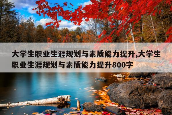 大学生职业生涯规划与素质能力提升,大学生职业生涯规划与素质能力提升800字