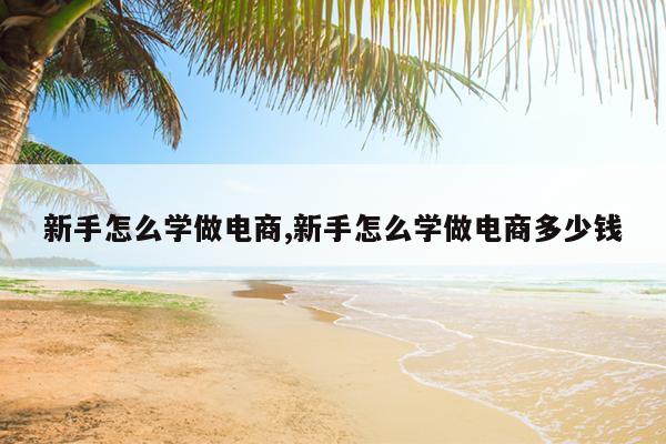 新手怎么学做电商,新手怎么学做电商多少钱