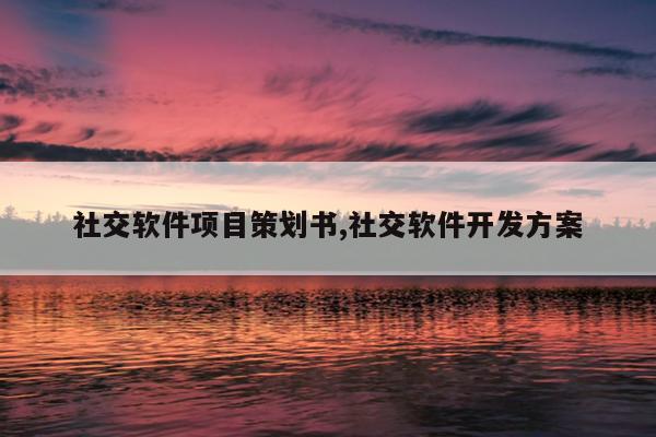 社交软件项目策划书,社交软件开发方案