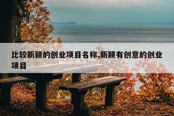 比较新颖的创业项目名称,新颖有创意的创业项目