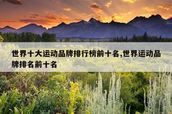 世界十大运动品牌排行榜前十名,世界运动品牌排名前十名