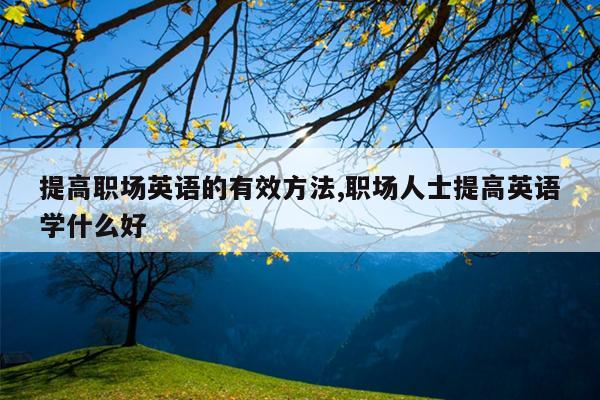 提高职场英语的有效方法,职场人士提高英语学什么好