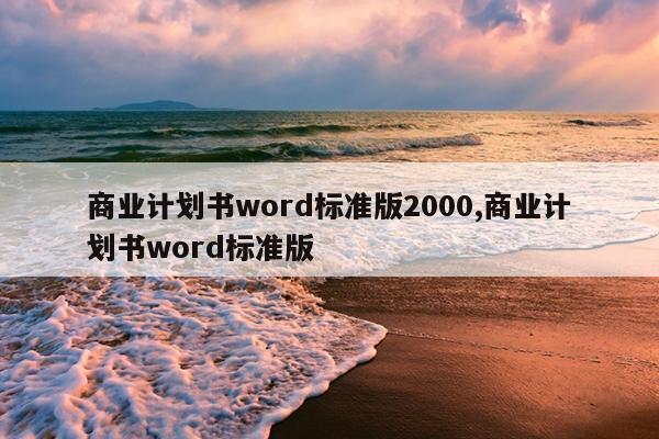 商业计划书word标准版2000,商业计划书word标准版