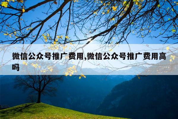 微信公众号推广费用,微信公众号推广费用高吗
