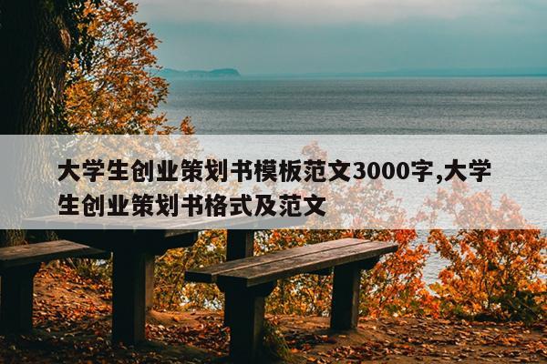 大学生创业策划书模板范文3000字,大学生创业策划书格式及范文